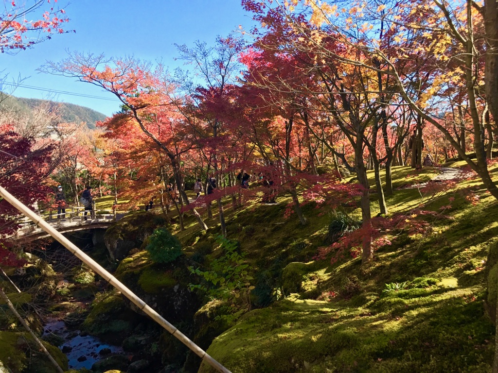 添乗員日記 太平観光株式会社